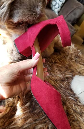 reviewer holding the red shoe next to a dog