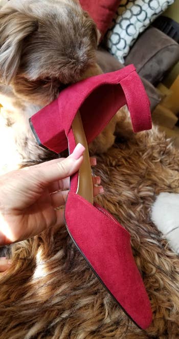 reviewer holding the red shoe next to a dog