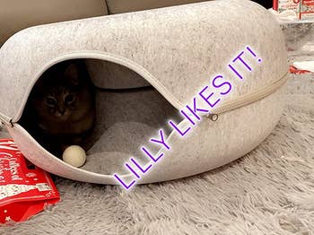 a cat sitting inside the gray tunnel donut bed