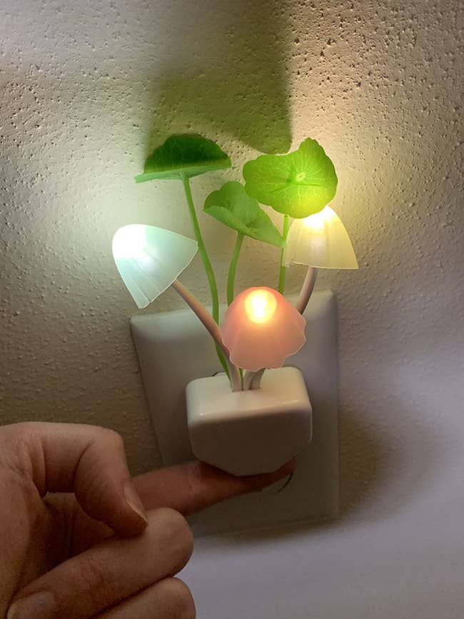 a different reviewer's illuminated nightlight