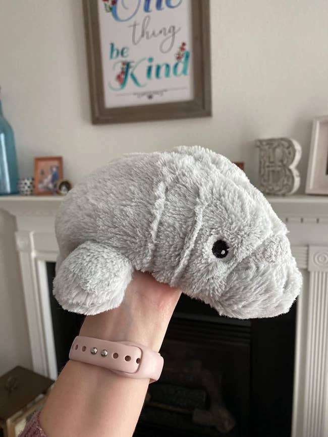 image of reviewer holding up the plush manatee
