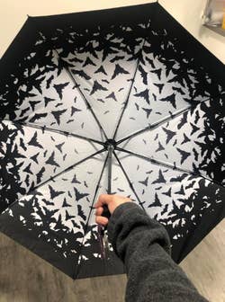 Person holding an umbrella with a bat pattern design on the inside