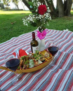 reviewer close up of the red and blue striped blanket laid out on grass and holding flowers, wine, and sushi
