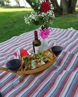 reviewer close up of the red and blue striped blanket laid out on grass and holding flowers, wine, and sushi