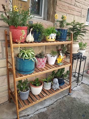 reviewer photo of multi tier vertical plant stand outdoors