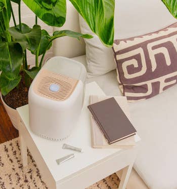 the beige humidifier on a side table