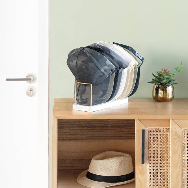 Hat organizer displaying several caps on a wooden cabinet beside a small potted plant and a Panama hat