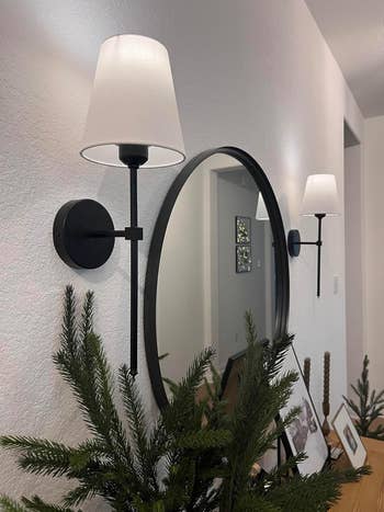 Wall sconce and circular  reflector  successful  a modern, decoratively furnished country   with indoor greenery accents