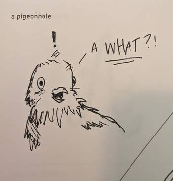 Cartoon of a surprised pigeon with 