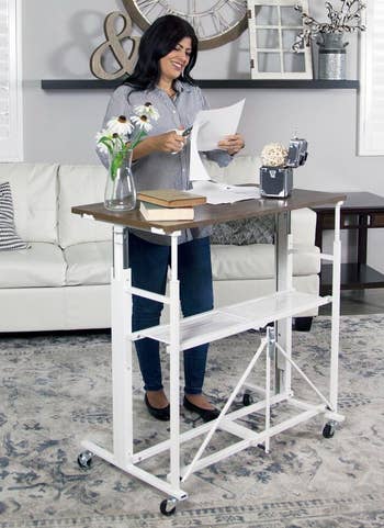 Person stands at a mobile desk in a home setting, reviewing papers