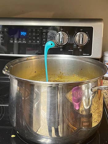reviewer's soup pot with turquoise ladle handle that looks like monster head and neck sticking out