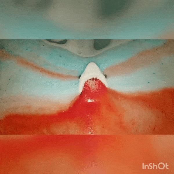 Gif of the shark bath bomb and its white, blue, and red colors