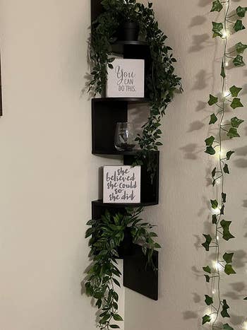 The shelf in black with canvases with quotes and artificial vines 