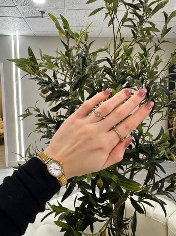 Hand with pink manicured nails and gold rings displayed in front of a leafy plant. A gold wristwatch with a white face is on the wrist