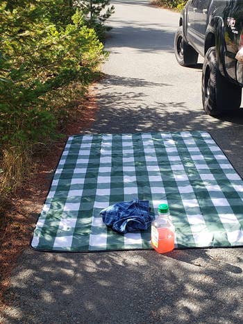 reviewer photo of green plaid picnic blanket laid out on the road