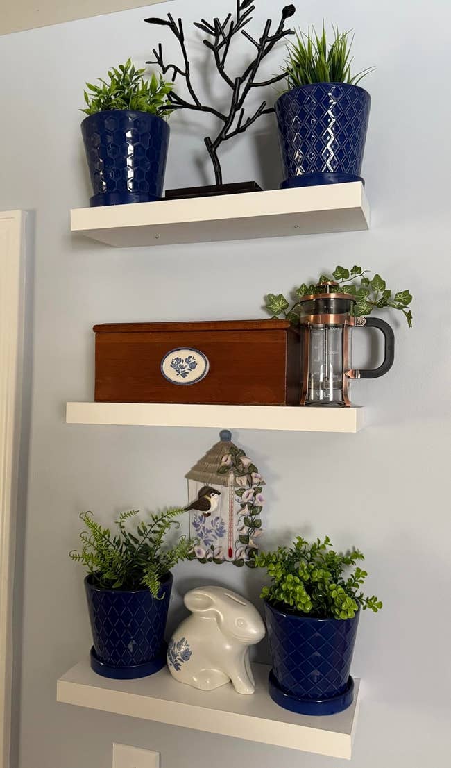 Three achromatic shelves clasp bluish potted plants, a woody box, a French press, a decorative birdhouse, and a ceramic bunny