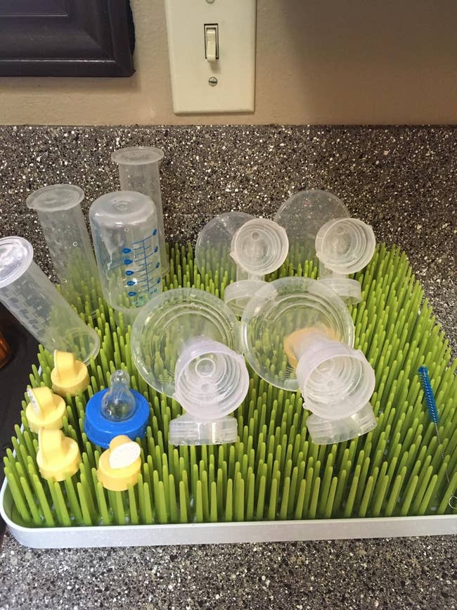 a boon drying rack that looks like grass and his bottles on top of it