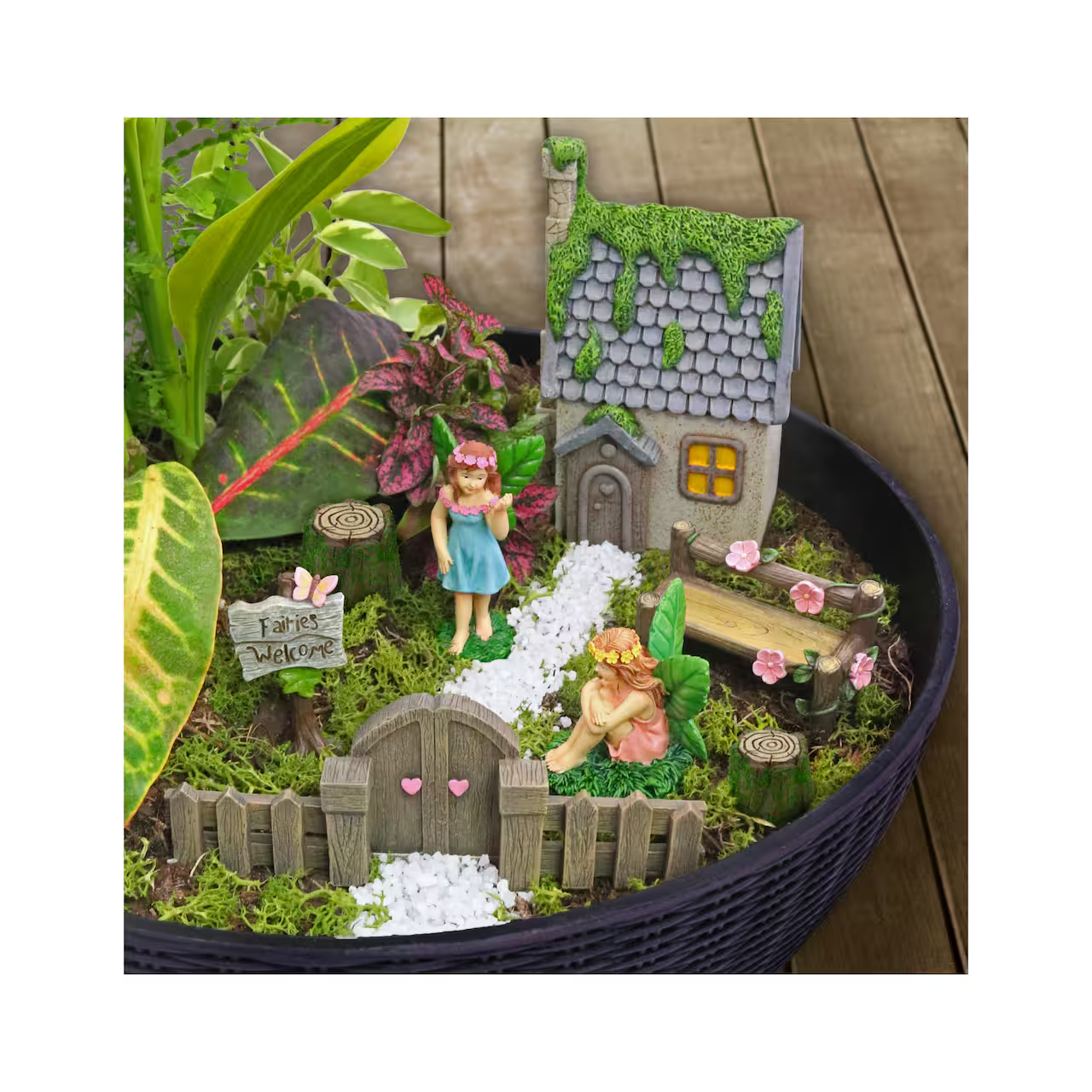 Miniature fairy garden with a cottage, fence, and two fairy figurines surrounded by greenery. Sign reads 