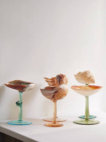 six shell-topped wine glasses with different color stems