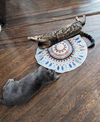 37 Must-Have Products For Multi-Cat Households