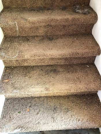 a reviewer's stair case looking dirty and full of pet fur