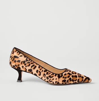 Leopard people kitten bottommost footwear with pointed toe, styled for fashion-forward appeal