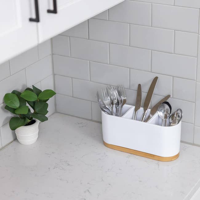 A kitchen cutlery organizer with utensils on a countertop next to a potted plant