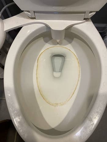 reviewer showing their toilet with a ring and hard water stains