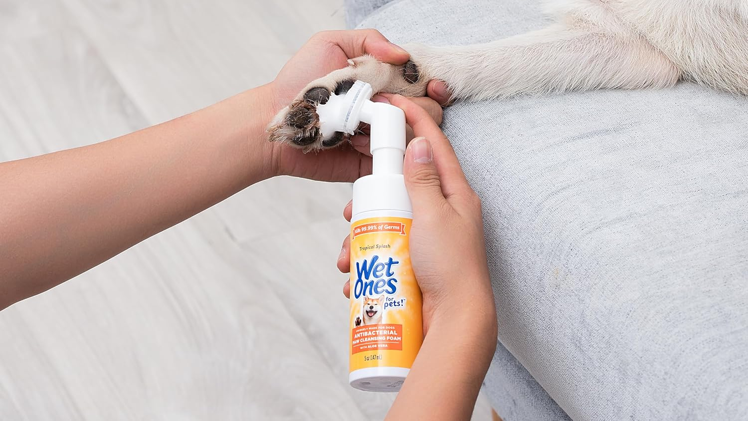 Orang yang memegang pembersih kaki Wet Ones Pets, mengoleskannya ke kaki anjing
