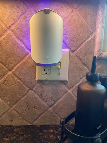 A Zevo insect trap is plugged into a kitchen power outlet. To the side, there's a black soap dispenser on a countertop