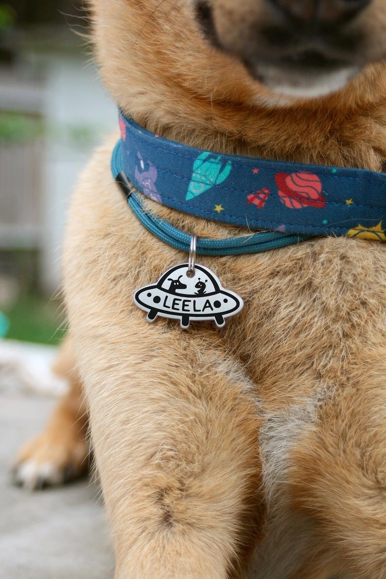dog wearing collar with a small silver tag that looks like a UFO with the name 