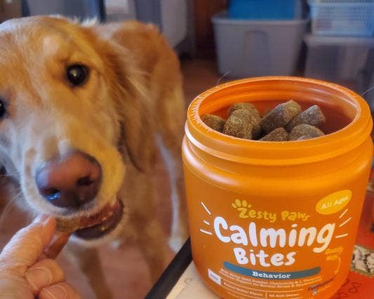 a golden retriever eating a chew with an open tub of chews next to it