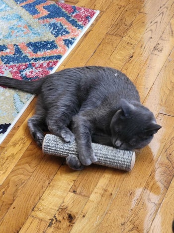 cat hugging and kicking a kicker toy