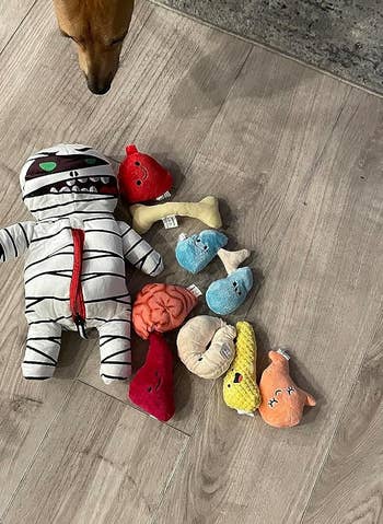 reviewer photo of the mummy toy and the stuffed organs
