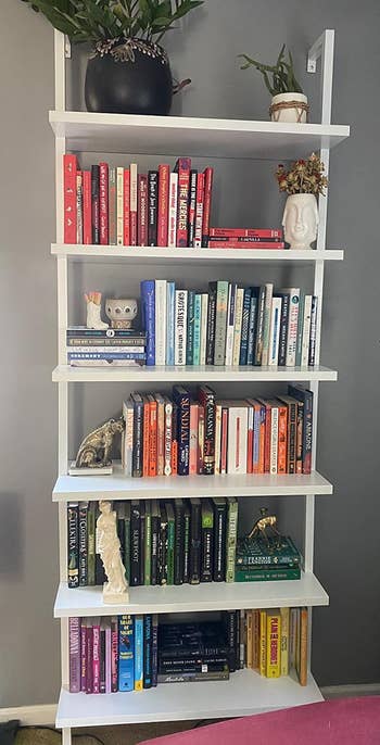 reviewer's white bookshelf with various books and decorative items on it