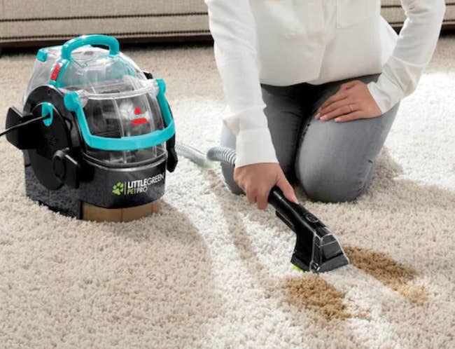 model cleaning carpet with the little green pet pro