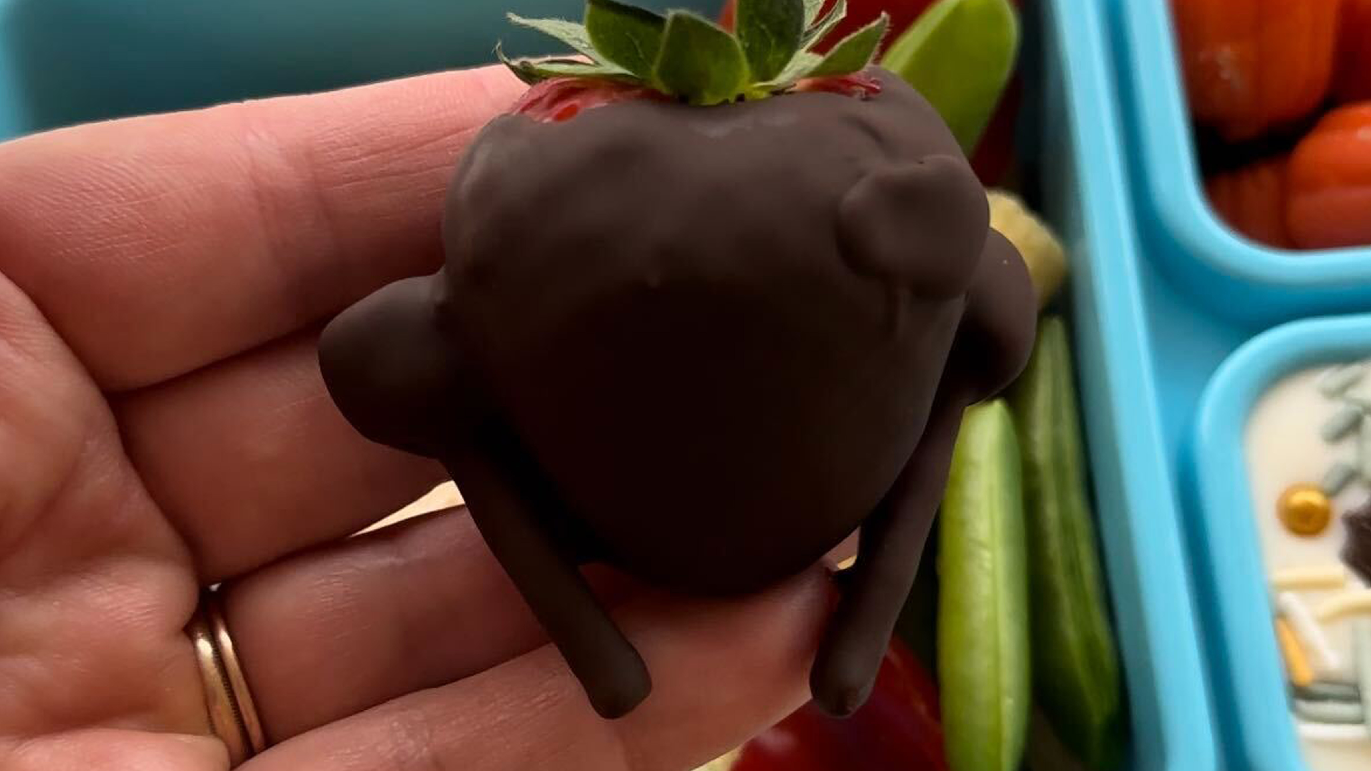 Chocolate Covered Strawberry Turkeys - Taste of the Frontier