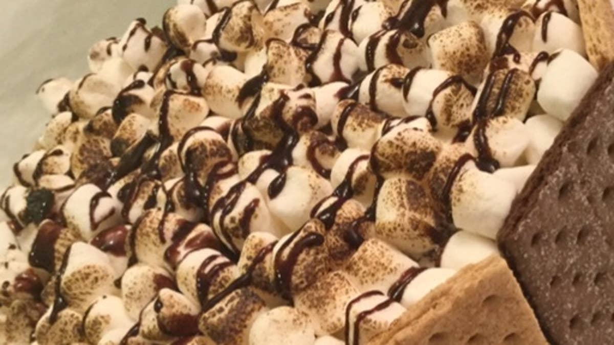 The Ultimate S’mores Cake