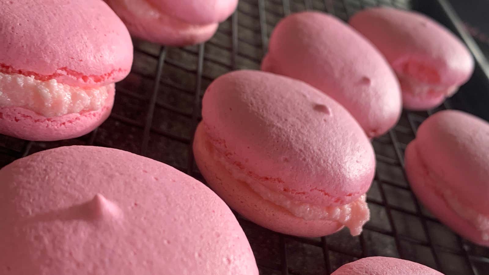 Nut Free Macarons Recipe By Tasty