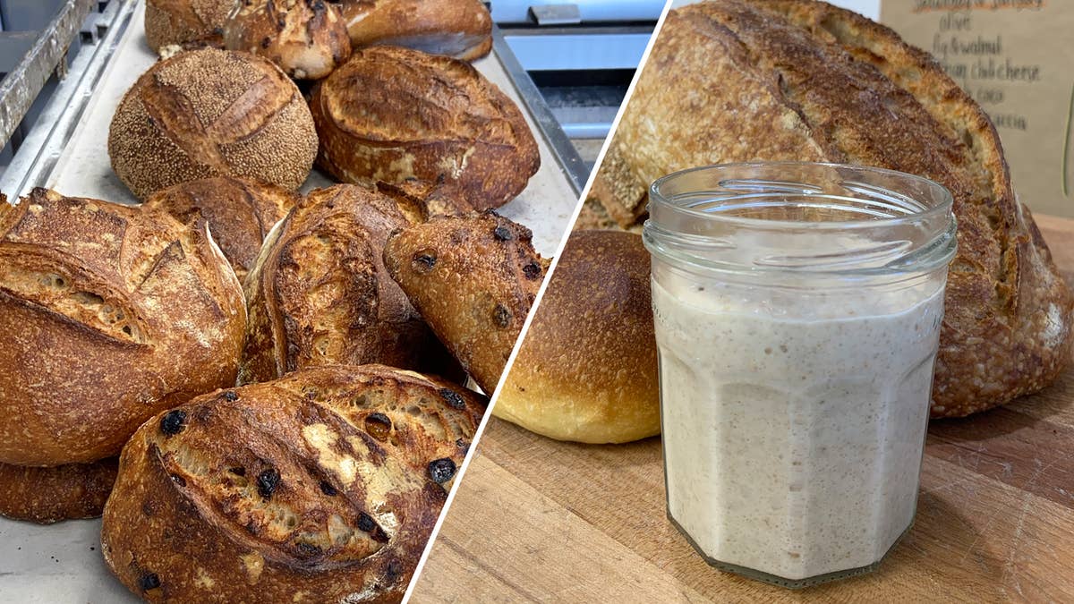 Sourdough Starter As Made By Johnny VanCora