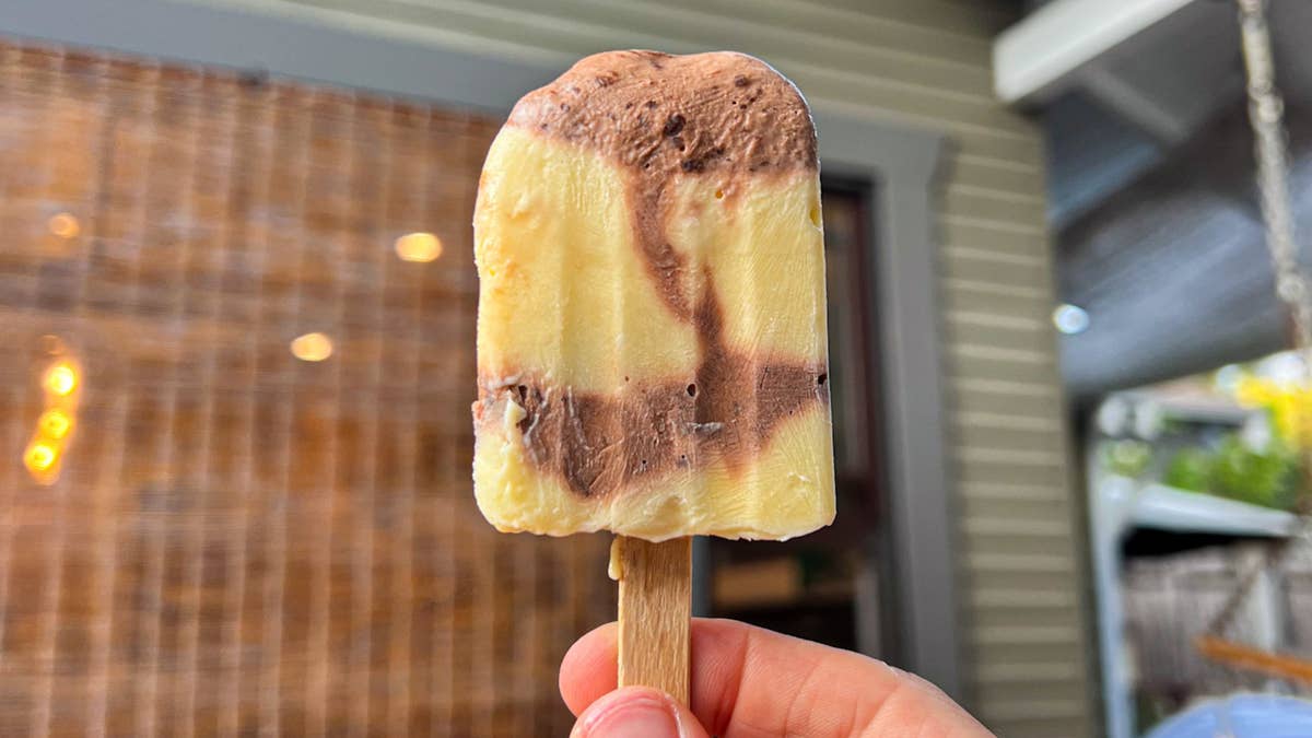 Homemade Pudding Pops