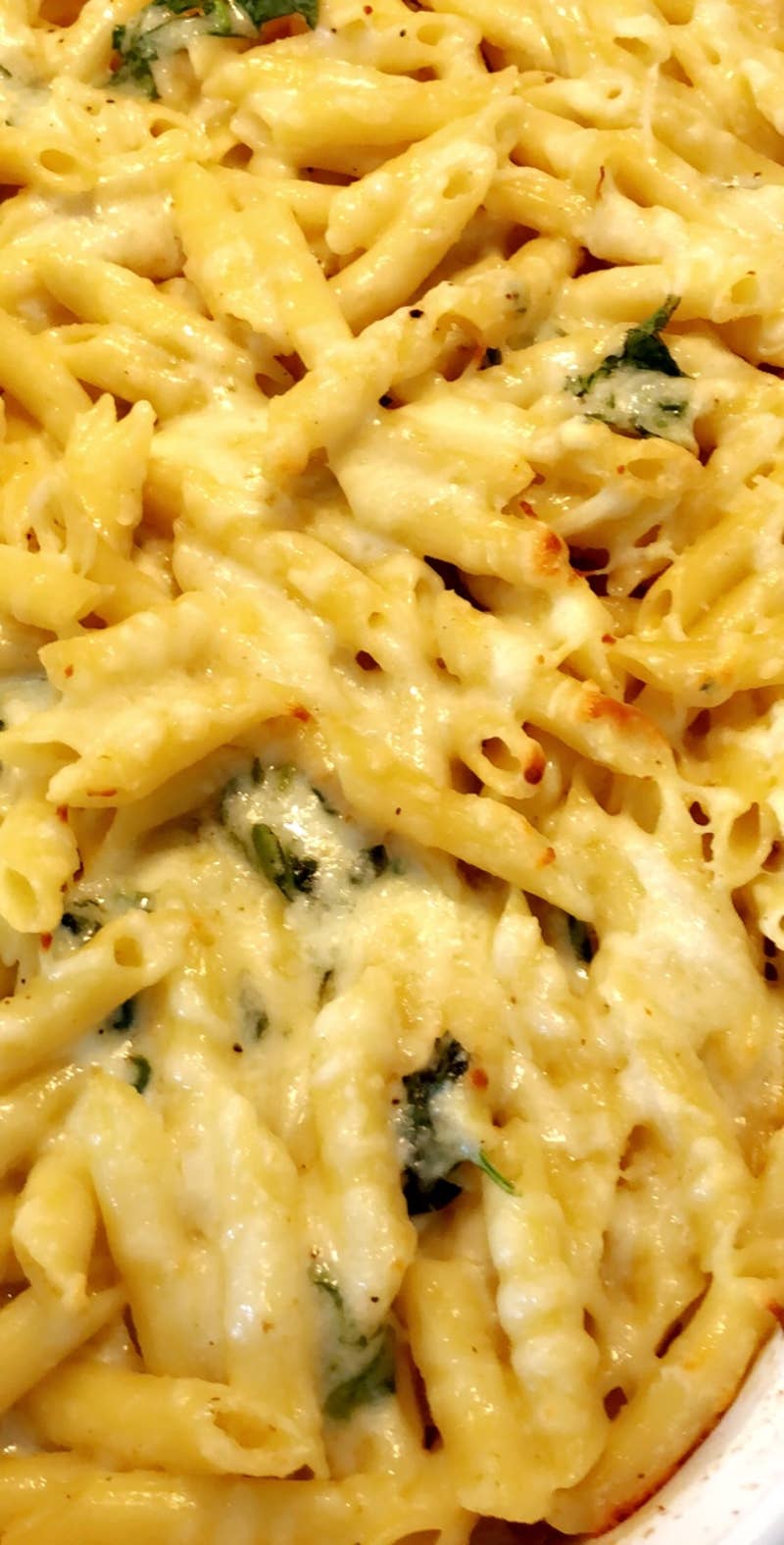 Tillamook Gluten Free Mac And Cheese Tillamook Gluten Free Mac And Cheese