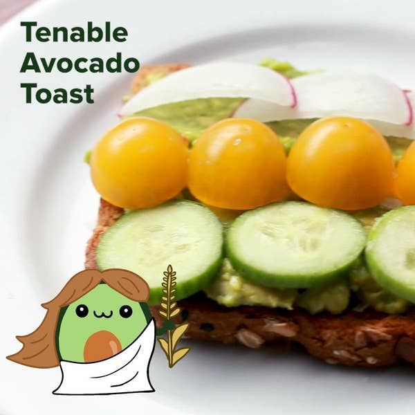 Tenable Avocado Toast (Virgo)