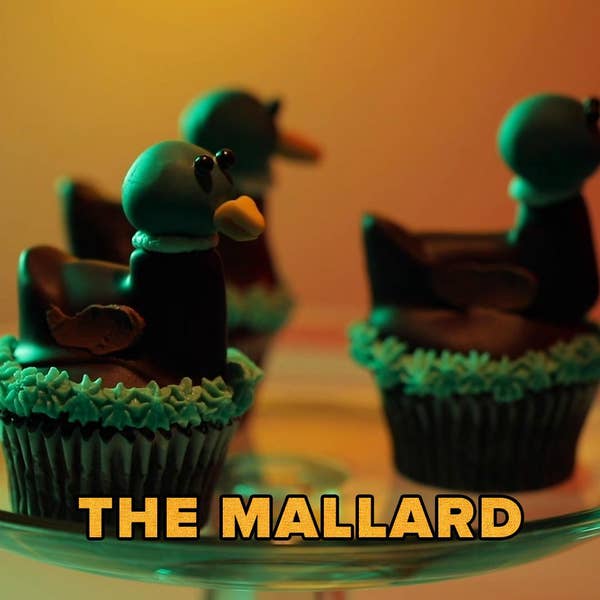Mallard Cupcake