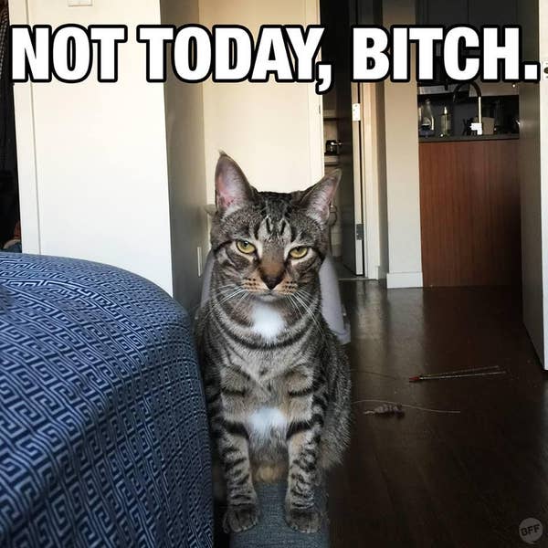 Not Today, Bitch