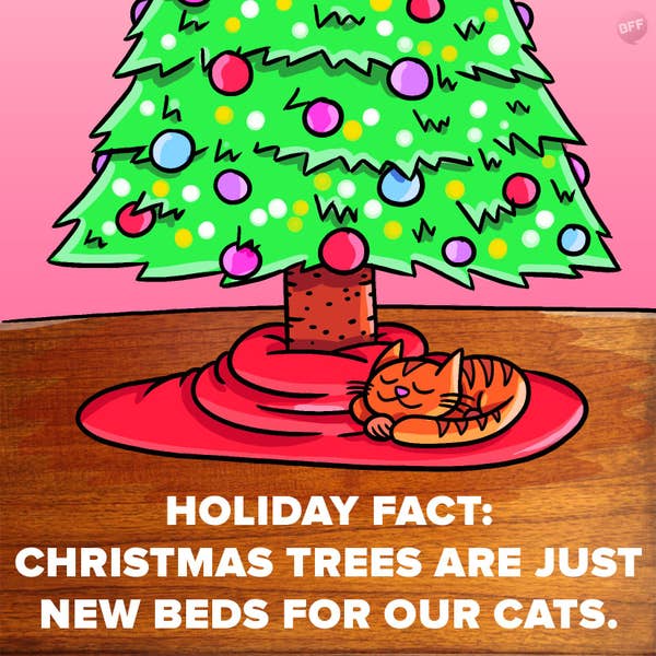 Holiday Fact