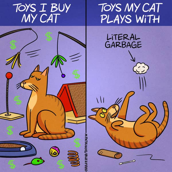 Toys I buy my cat Vs Toys my cat plays with