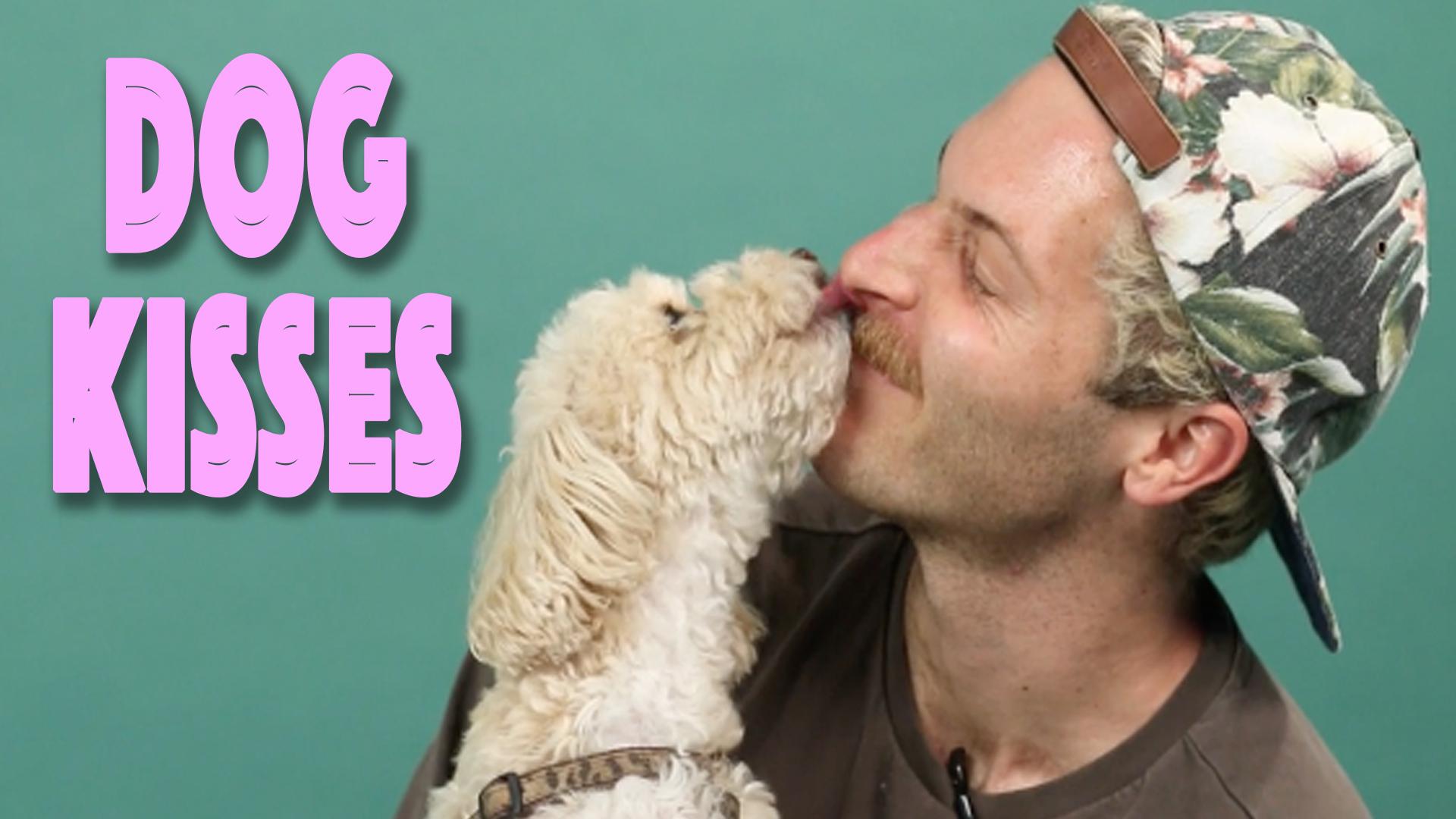 Dog Lovers Kiss Dogs While Learning Gross Facts About Dogs' Mouths