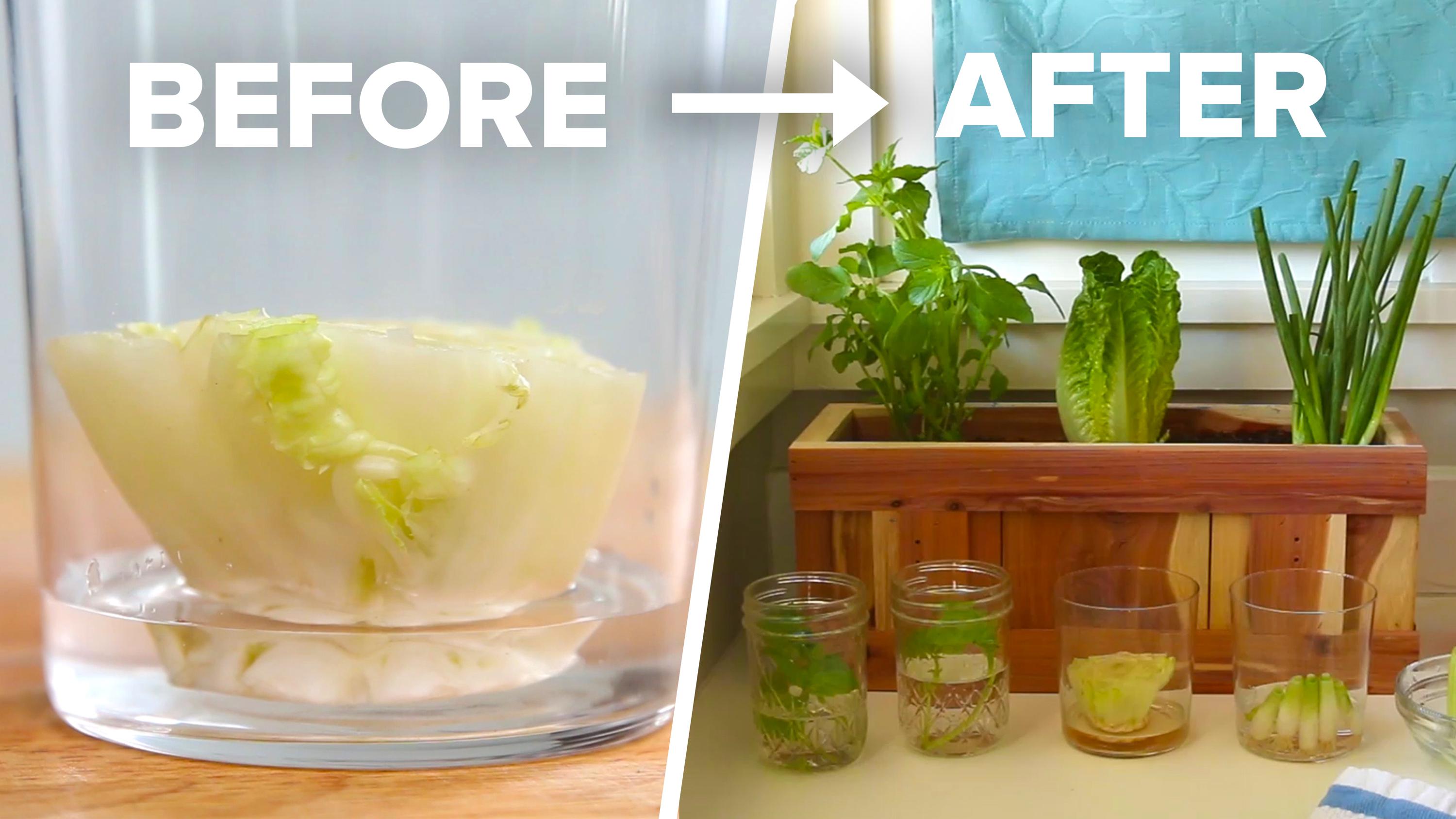 The 6 Best Kitchen DIY Hacks