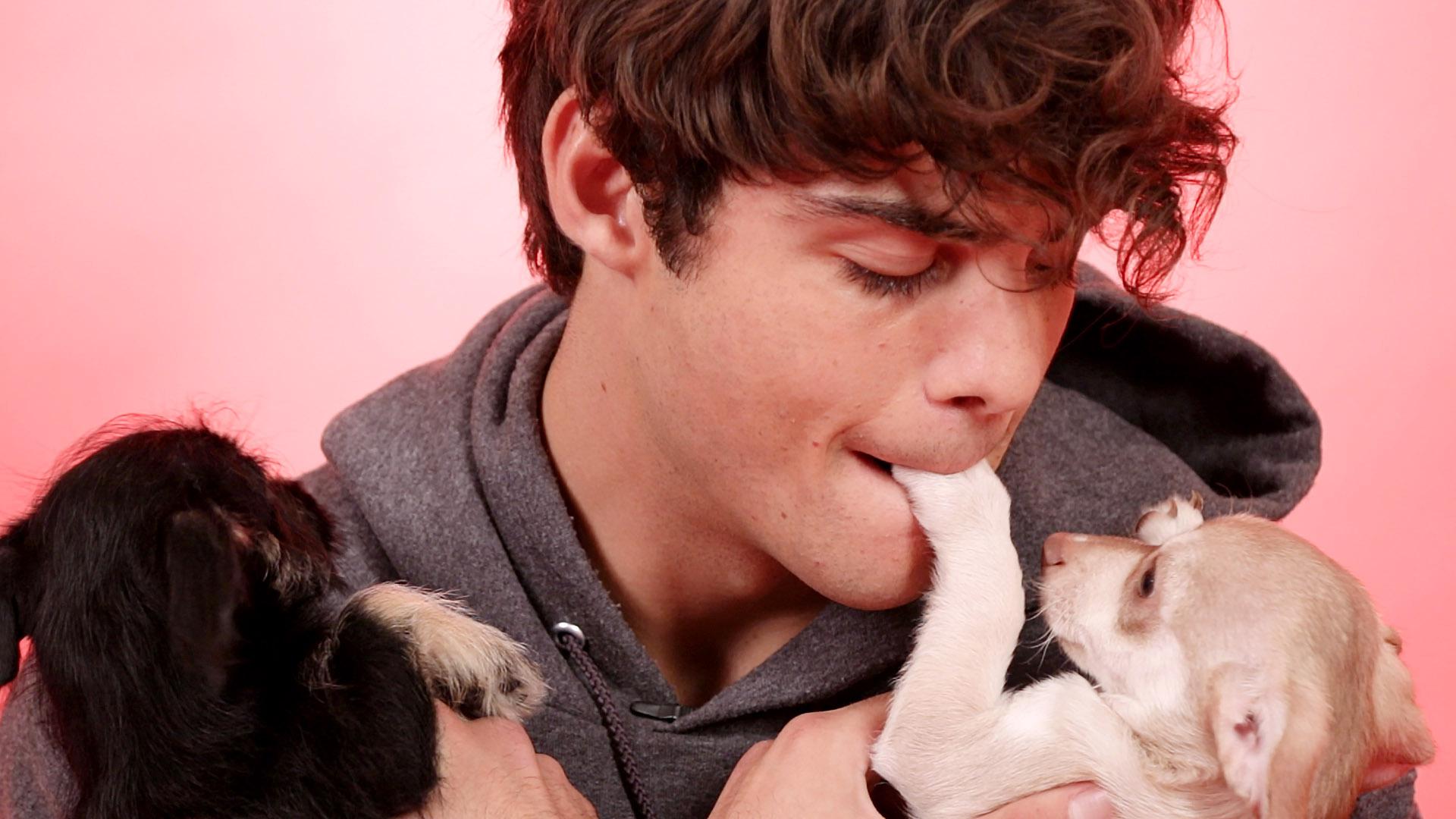 Noah Centineo Plays With Puppies While Answering Fan Questions.